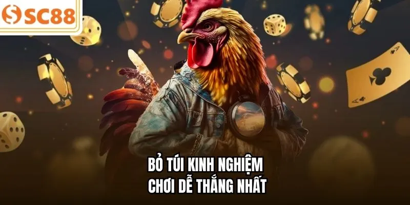 Bỏ túi kinh nghiệm chơi dễ thắng nhất