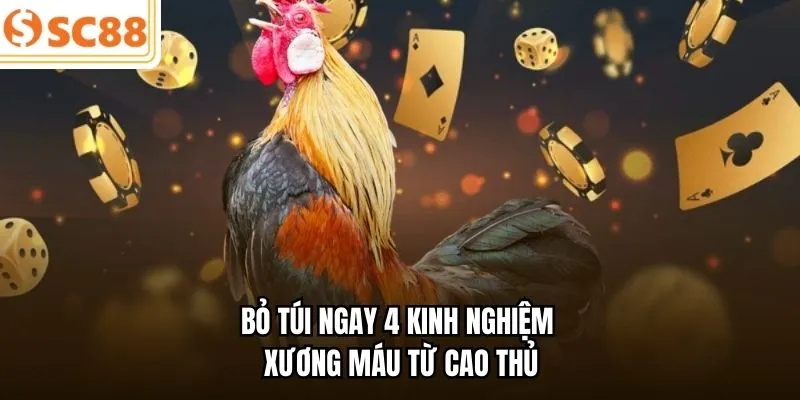 Bỏ túi ngay 4 kinh nghiệm xương máu từ cao thủ